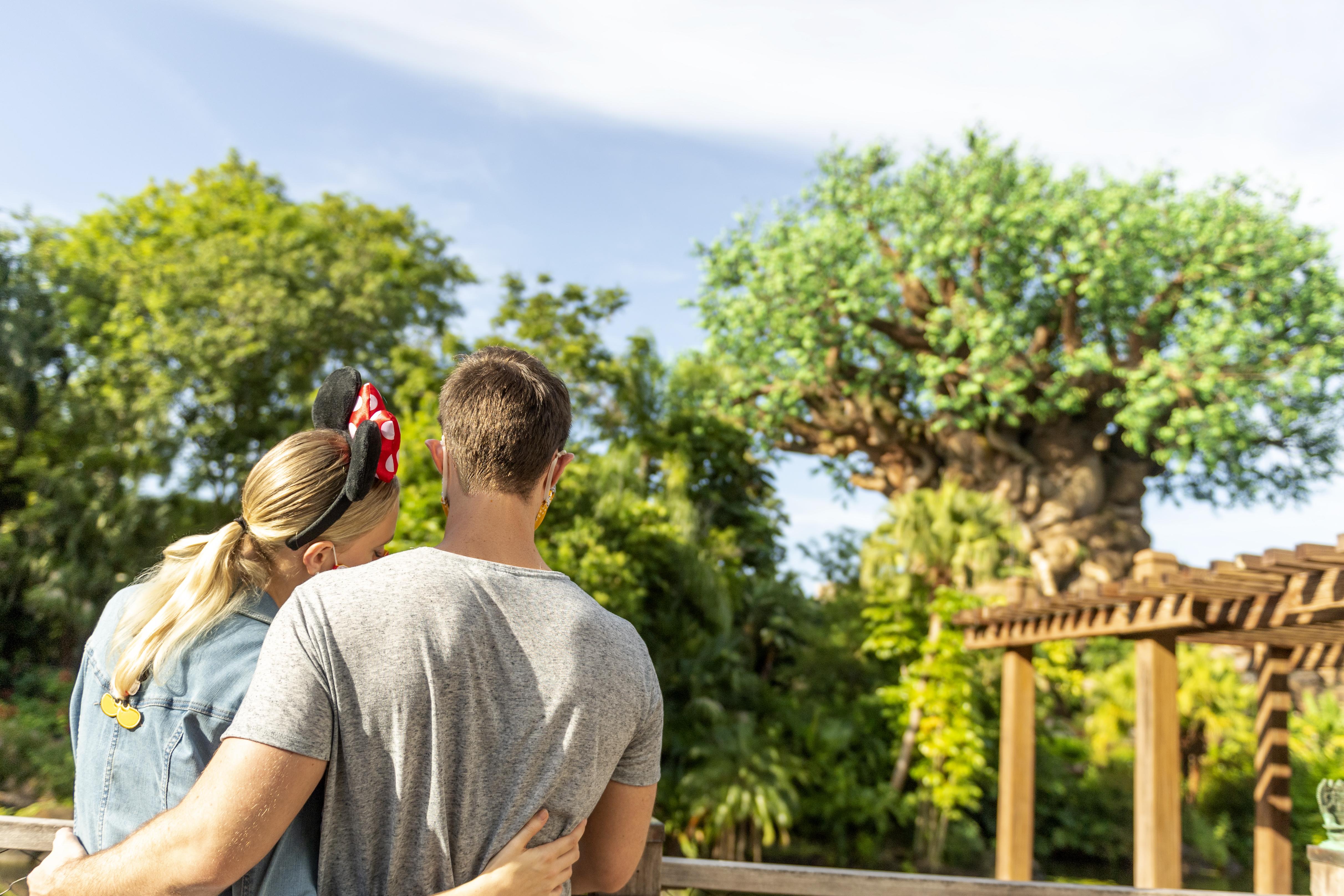 Boulder Ridge Villas At Disney'S Wilderness Lodge Lake Buena Vista Exterior foto